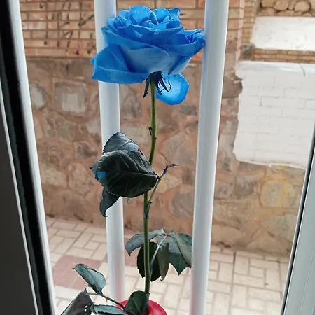 Pequenito Málaga